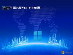 ľ⼤win8.1 64λƶͥv2025.05