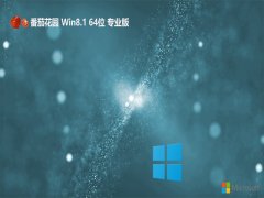 ѻ԰v2024.04win8.1 64λСװ