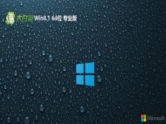 ײ⼤win8.1 64λﾫİv2024.04