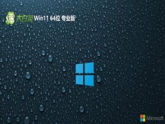 <font color='#FF0000'>ײwin11⼤64λưv2025.05</font>